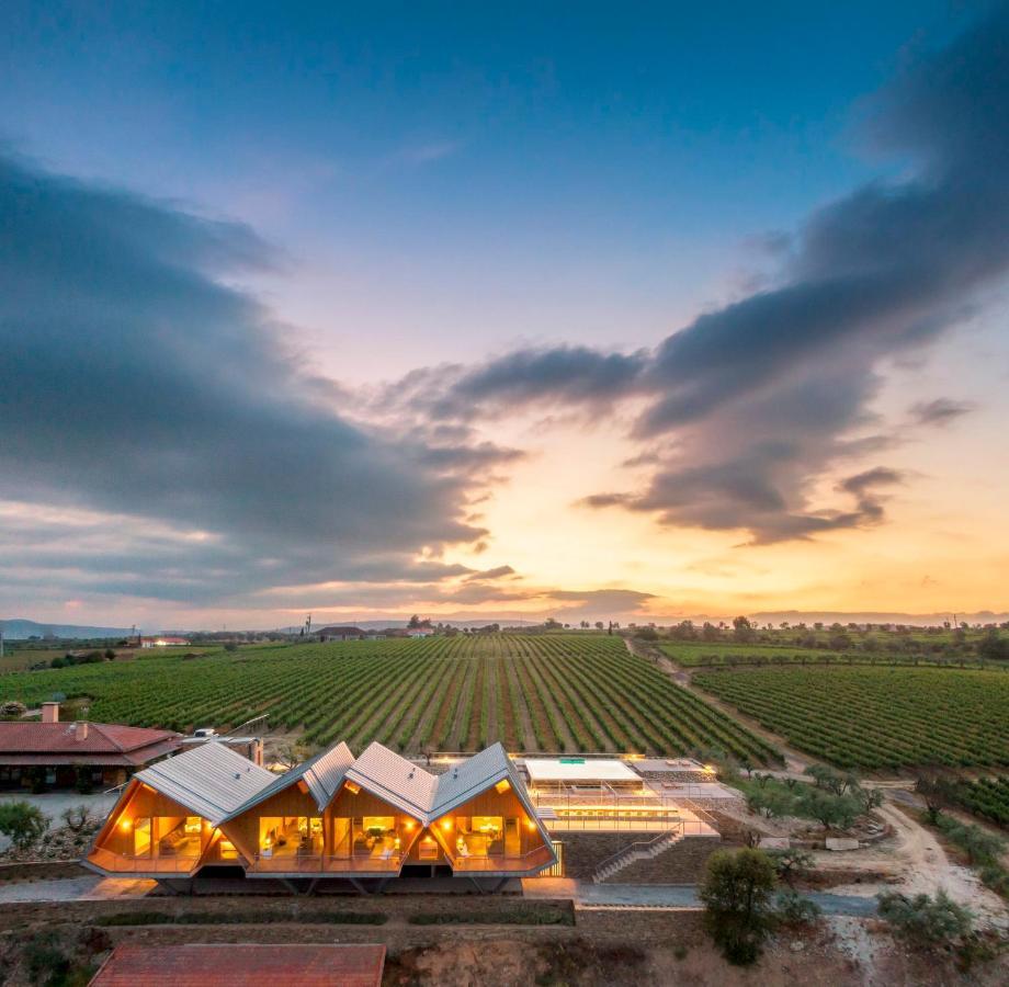 Favaios Quinta Da Faisca - Agro Turismo 빌라 외부 사진