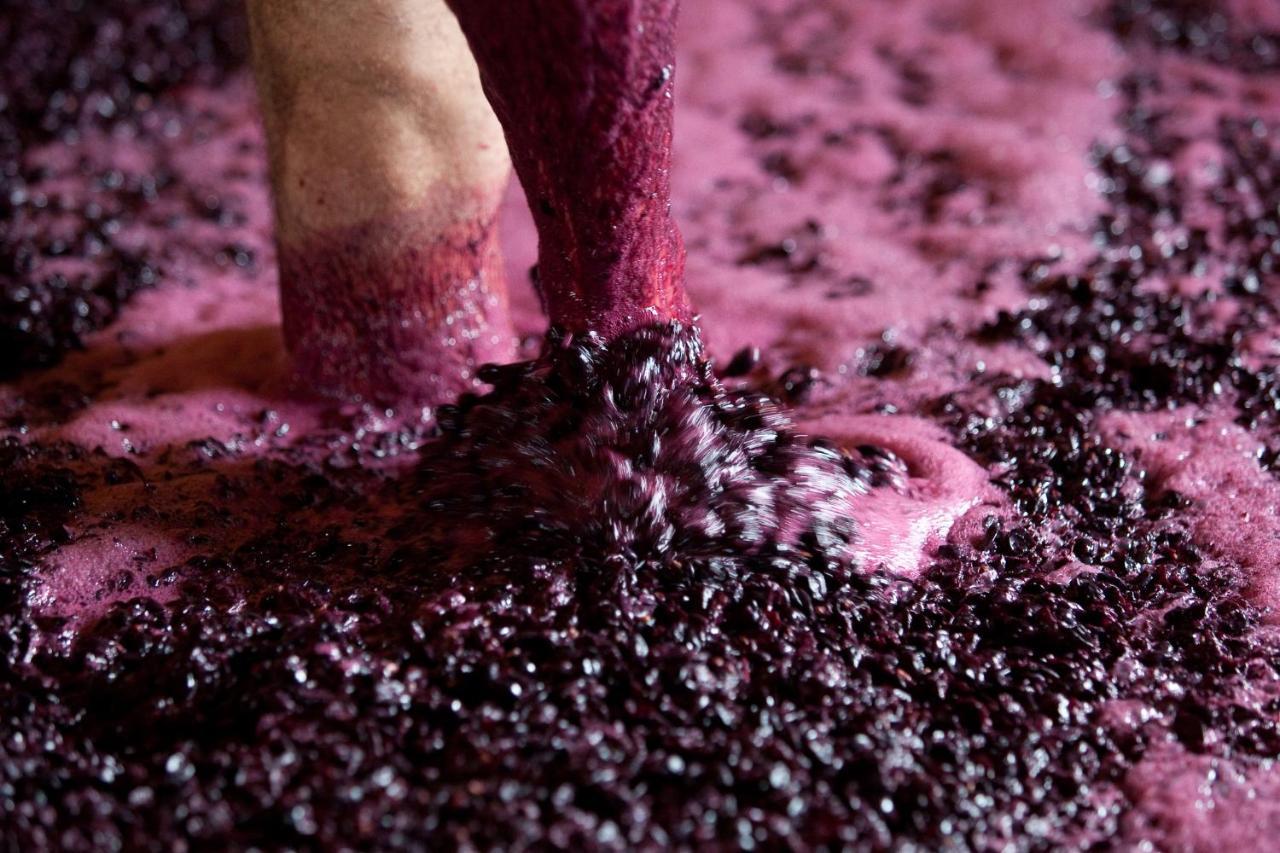 Favaios Quinta Da Faisca - Agro Turismo 빌라 외부 사진