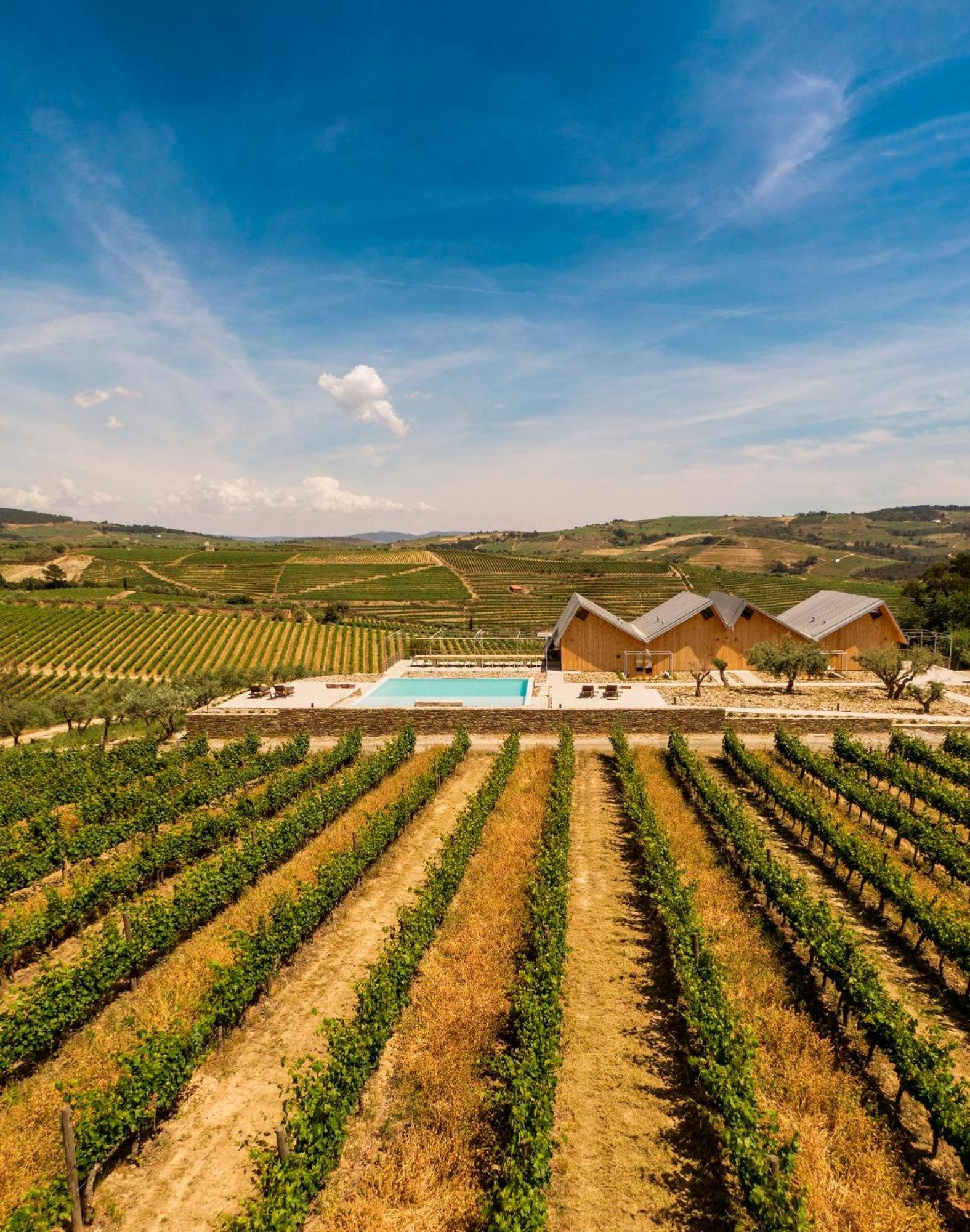 Favaios Quinta Da Faisca - Agro Turismo 빌라 외부 사진