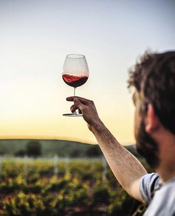 Favaios Quinta Da Faisca - Agro Turismo 빌라 외부 사진